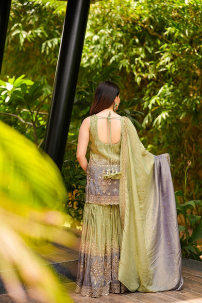 Saisha Cosmos Sharara Set