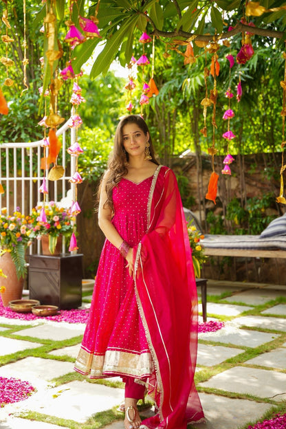 Phoolkari Organza Suit Set