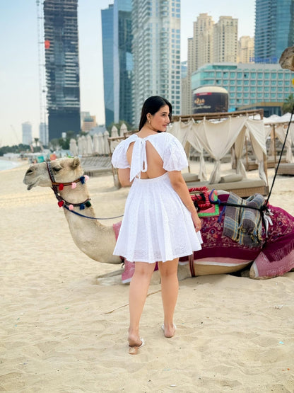 The White Canvas Dress