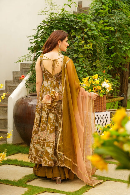 Tajwar Walnut Festive Suit Set