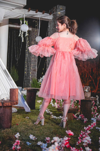 prisha organza dress