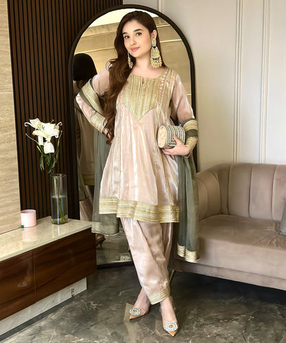 Imported Organza light beige suit