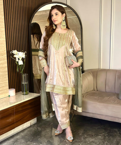 Imported Organza light beige suit